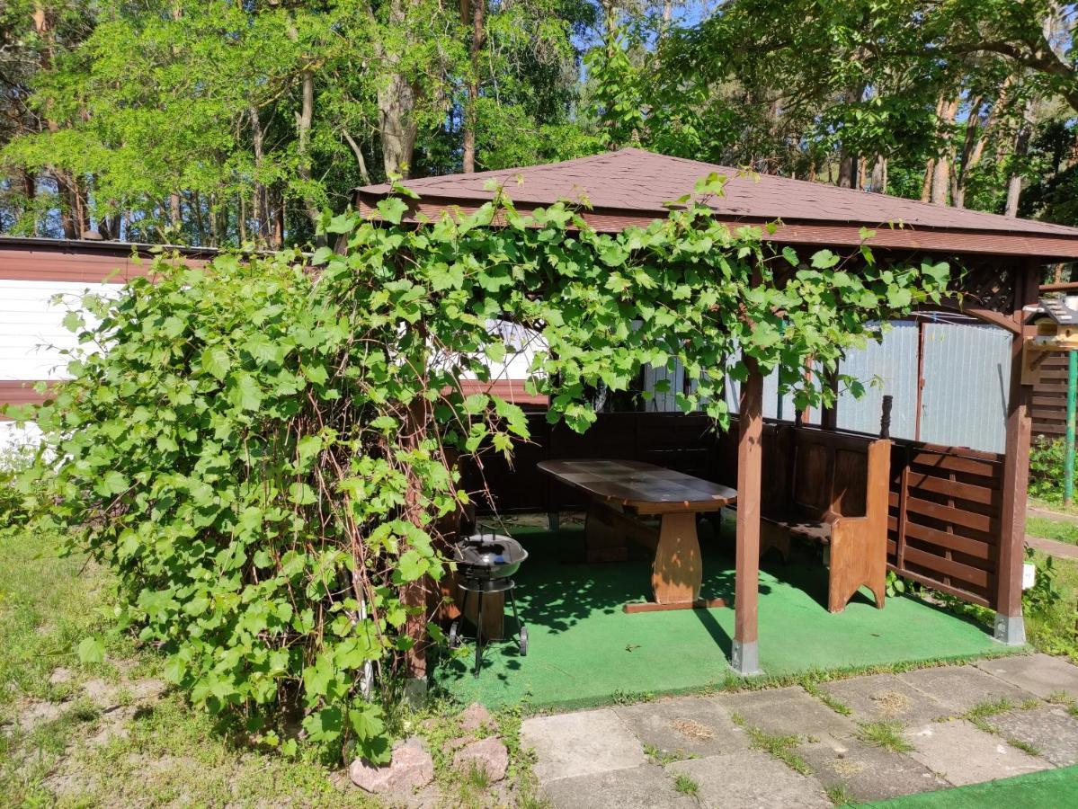 Villa Joanna 미엥지즈드로예 외부 사진